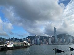 -海港城