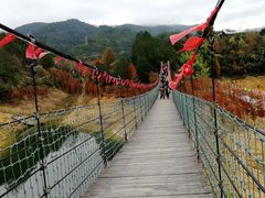 -云和湖仙宫景区