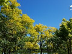 -东郊湿地公园