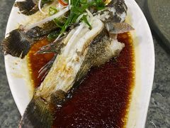 清蒸石头鱼-阿清嫂农家乐.黎窑烤鸡