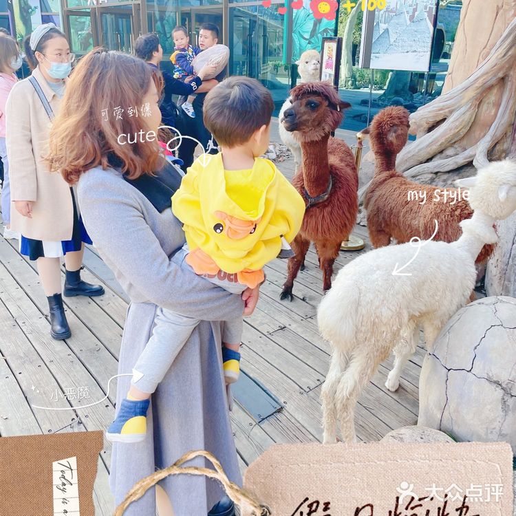 秋日遛娃海洋馆一日游