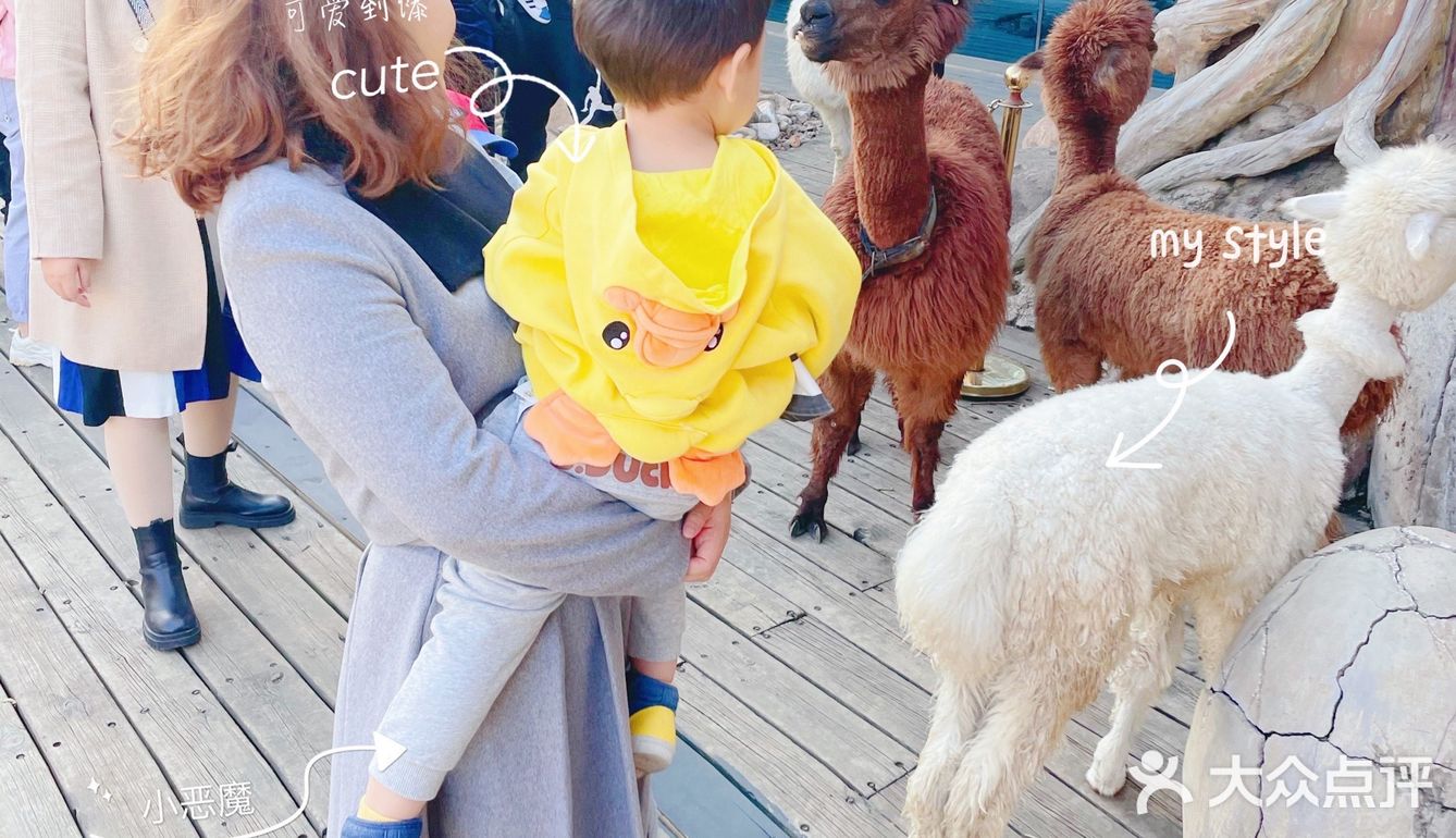 秋日遛娃海洋馆一日游