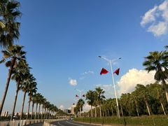 -宝安西湾红树林湿地公园