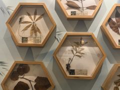 -上海群力中医门诊部(上海群力草药店)