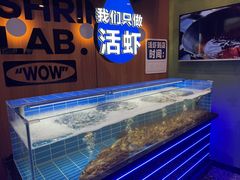 -0048鲜活香辣虾·火锅(铜陵路店)