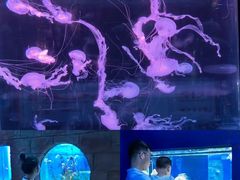 -左海海底世界