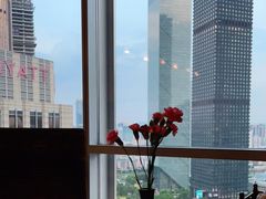 -广州富力君悦大酒店空中花园