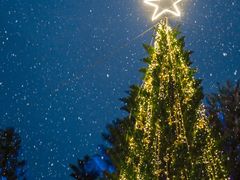 -福建鲤鱼洲酒店