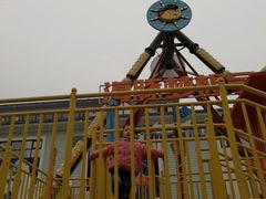 -海合安成都极地海洋公园