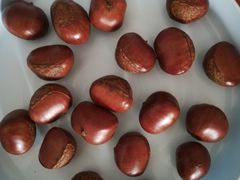 -黑孩油栗皇(南阳路店)