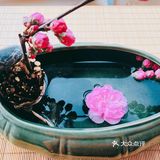 因过竹院逢僧话，偷得浮生半日闲。人生处处有美风景