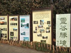 -灵谷景区