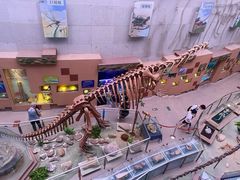 -陕西自然博物馆