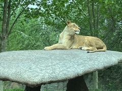 -北京野生动物园