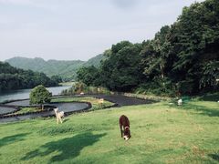 -石燕湖生态旅游景区