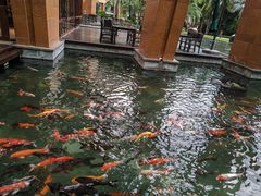 -三亚湾海居铂尔曼度假酒店