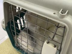 -天宠宠物医院24小时·急重症诊疗中心·全科·腔镜特色(和平分院)