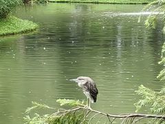 -人民公园(罗湖区)