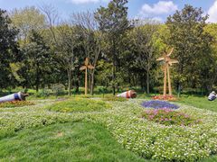 -上海共青森林公园