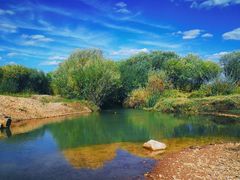 -塞罕坝国家级自然保护区