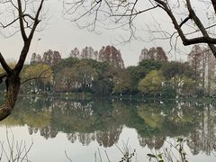 -西湖游船