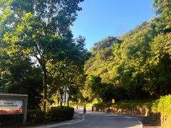 -火炉山森林公园