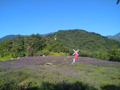 -紫颐香薰山谷景区