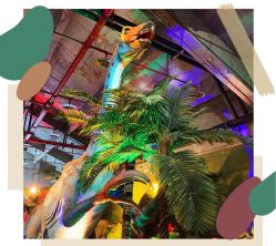 -恐龙探索乐园(磁器口店)