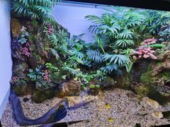 -上海海洋水族馆