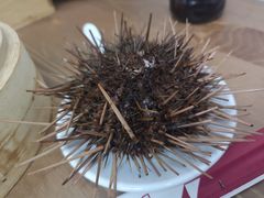 -海胆小馆(东北水饺·春柳店)