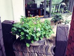iphone_upload_pic-花迹(富春江东街店)