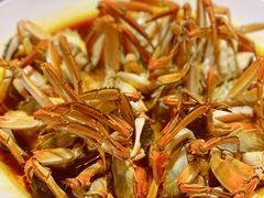 花雕酒蒸大闸蟹-张福记(陇海中路店)