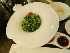 豌豆苗-清真大西门餐饮城(恒德大厦店)