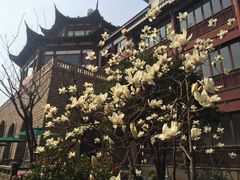 -苏州吴宫泛太平洋酒店