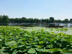 android_upload_pic-小王府(什刹海店)