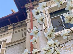 -天津意大利风情旅游区