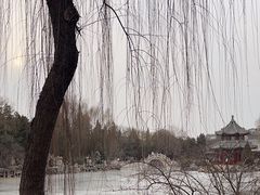 -莲池书院博物馆