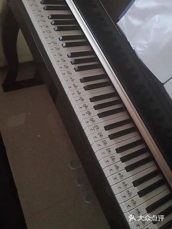 学钢琴——速成技能早get，轻松更easy