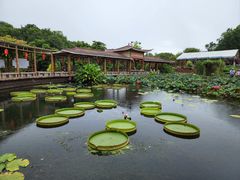 -广州莲花山旅游区