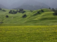 -新疆那拉提国家旅游度假区