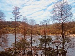 -深圳仙湖植物园