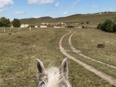 -塞罕坝国家级自然保护区