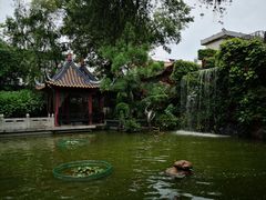 -碧江金楼