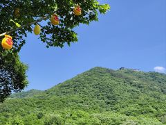 -句容茅山景区