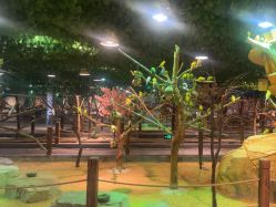 -酷嗒动物文化乐园(cutezoo西溪乐天城店)