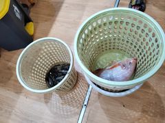 -小海豚•老字号海鲜餐厅(天涯店)