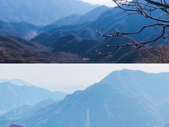 -大岭沟猕猴桃谷风景区