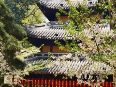 -龙华寺