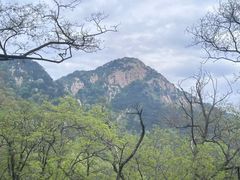 -泰山风景名胜区