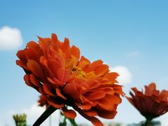 -白塘生态植物园